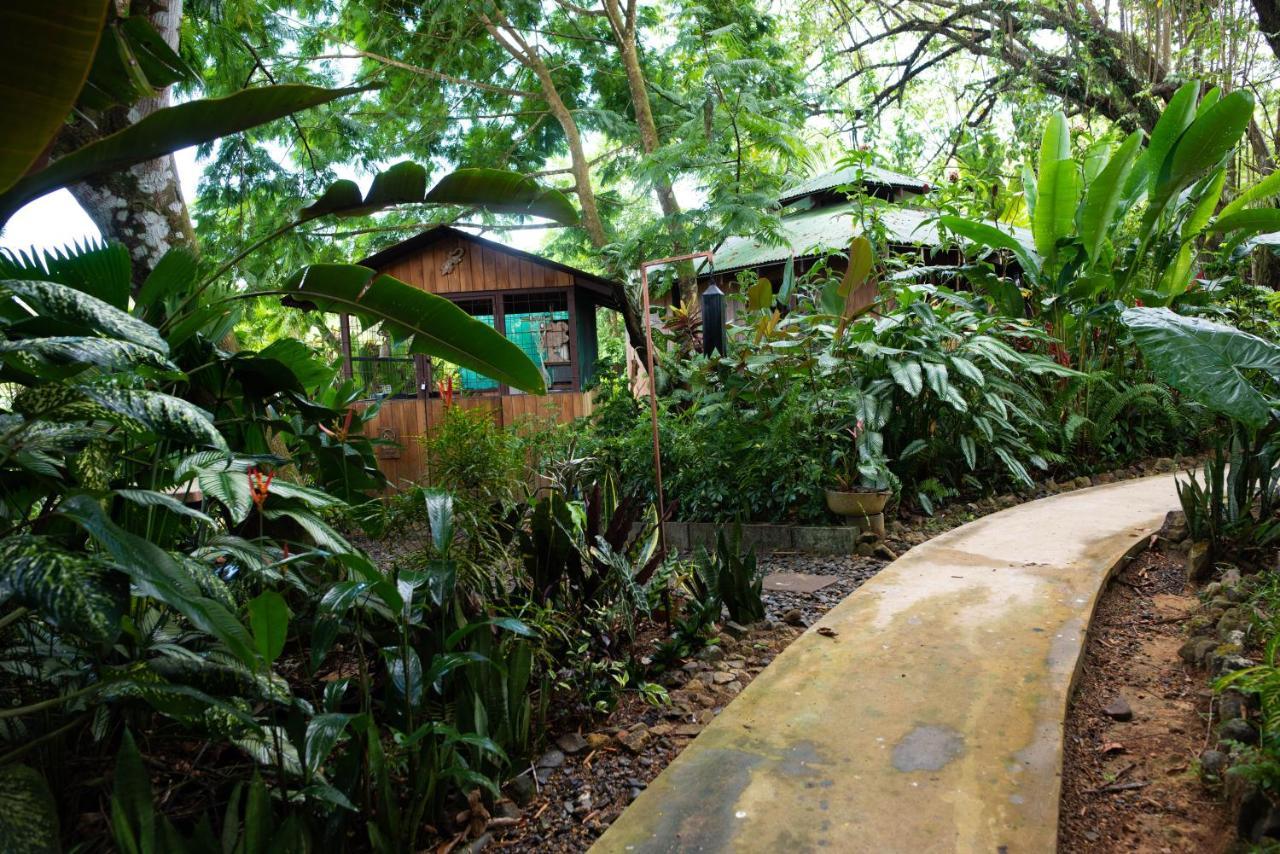 Las Brisas Del Sur Ojochal Extérieur photo