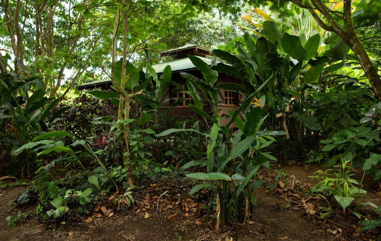 Las Brisas Del Sur Ojochal Extérieur photo