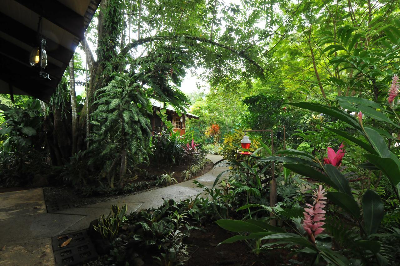 Las Brisas Del Sur Ojochal Extérieur photo